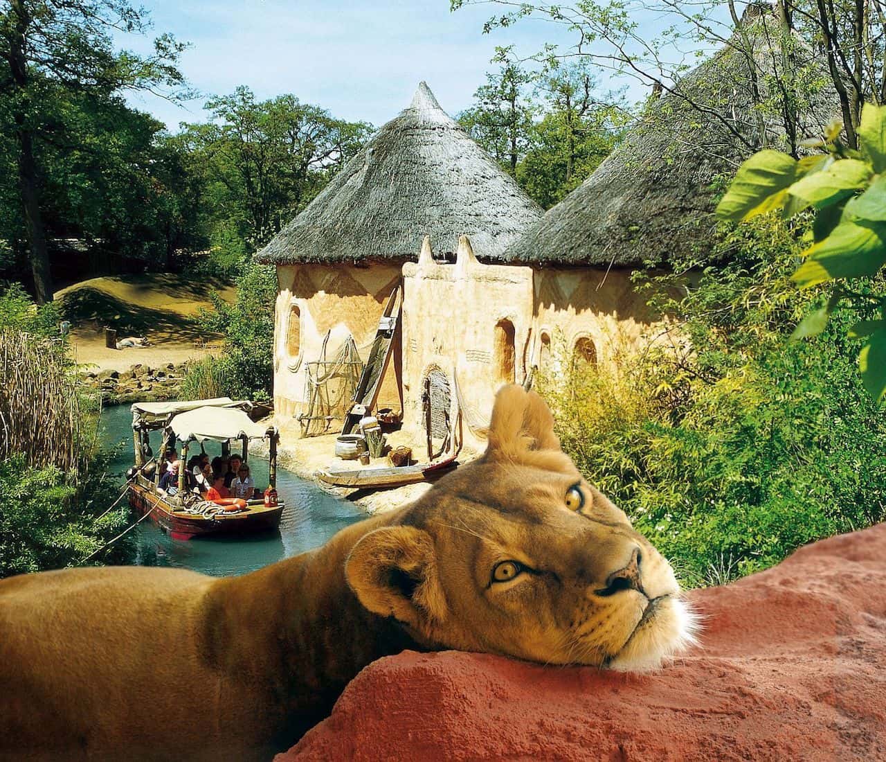 Lion in front of the Jungle Palace at Hanover Adventure Zoo