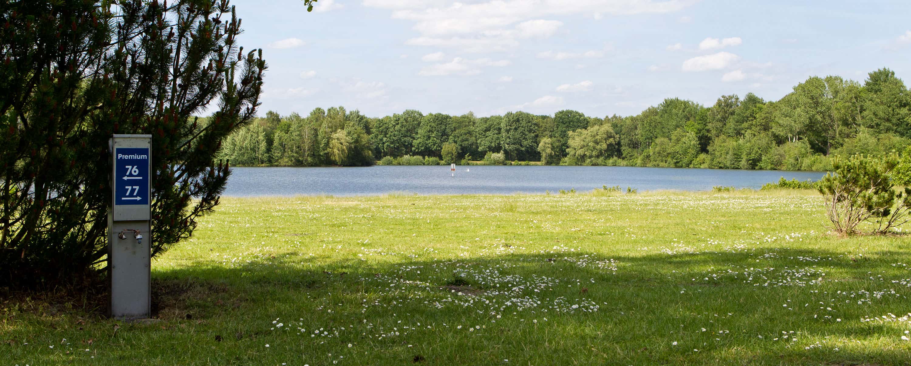 Campsite with numbered pitches at Lake Irenensee