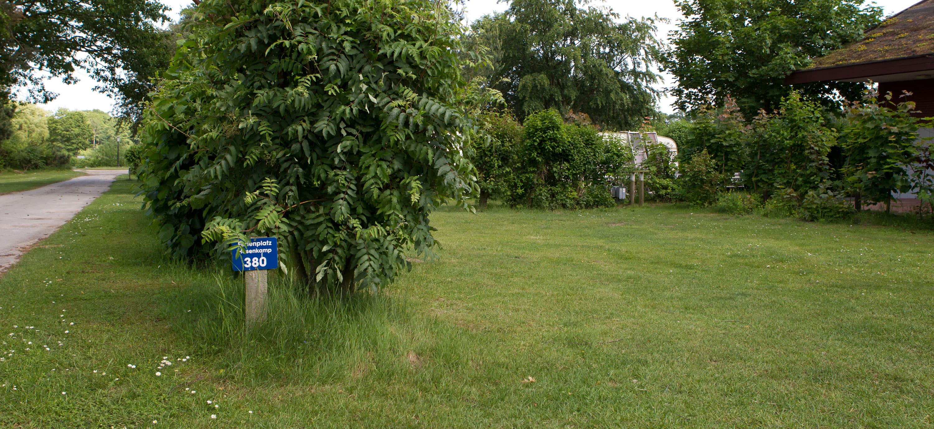 Camping plot surrounded by trees and bushes at the Hasenkamp