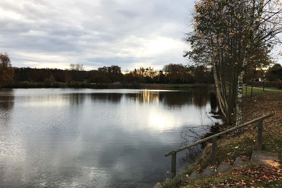 Stufen mit Holzgeländer am herbstlichen Ufer des Irenensees