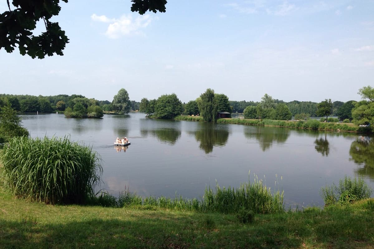 Ruderboot auf dem Irenensee zwischen Schilf und Bäumen
